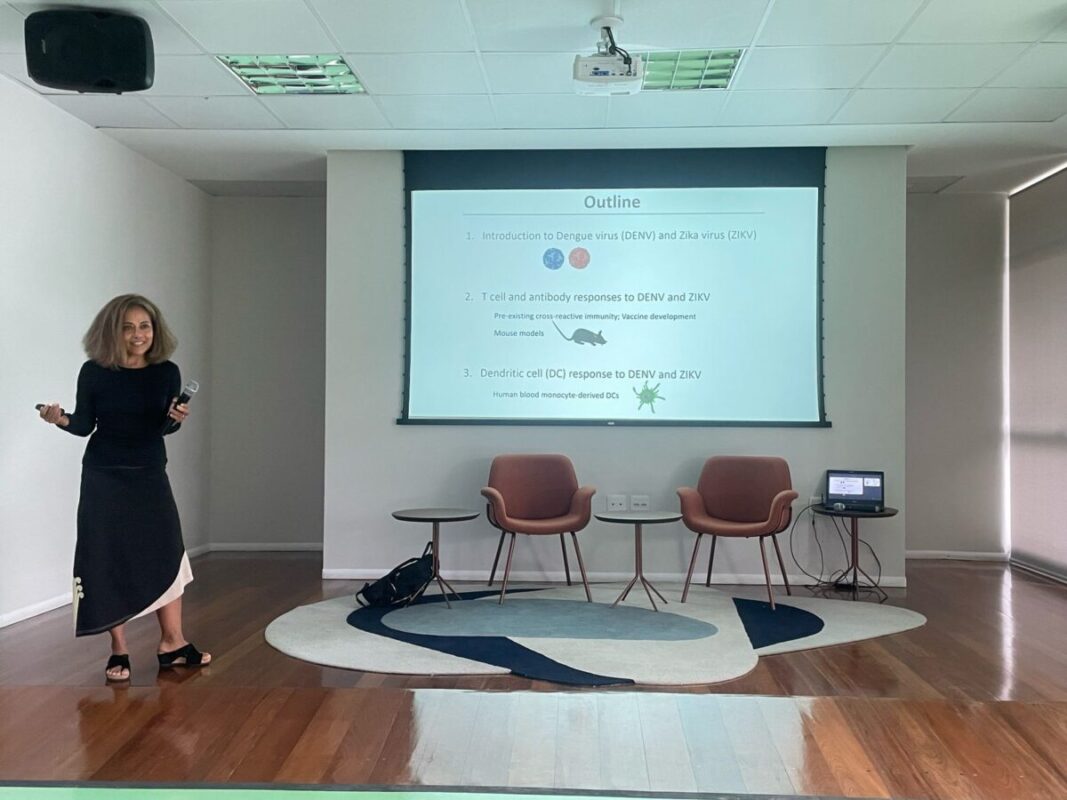 Pesquisadora apresenta estratégia de vacina combinada contra Dengue e Zika