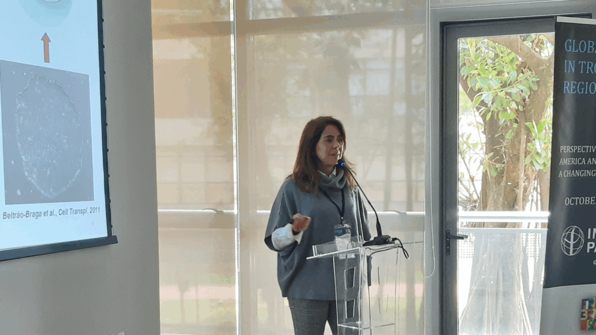 Infections affecting the brain: researchers from the Pasteur ecosystem and the Universidade de São Paulo (USP) explore connections between viruses and neurodevelopment