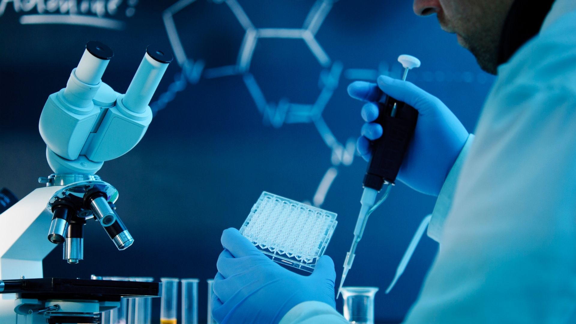 Young Researchers Groups