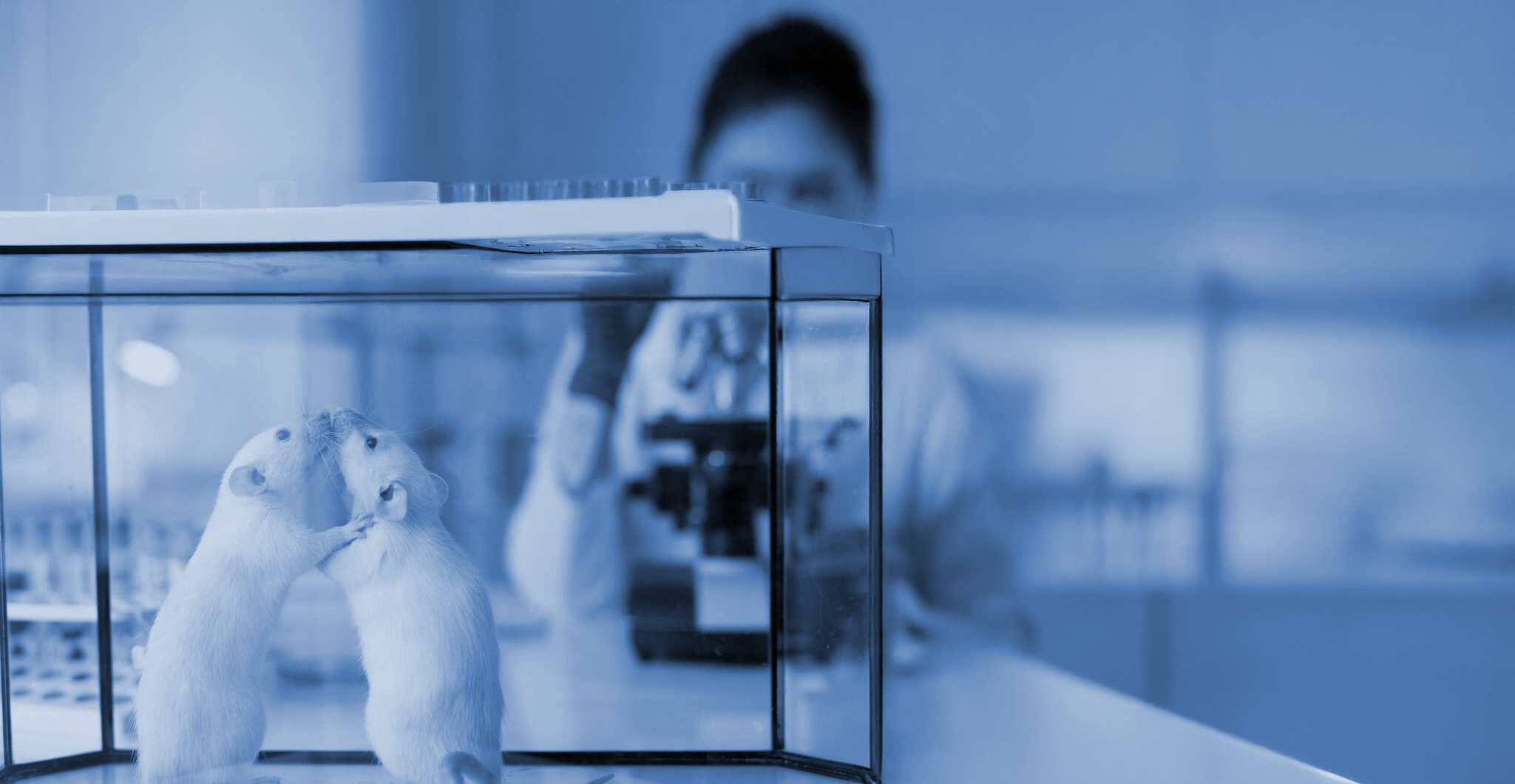 Urban Rodent Virology lab