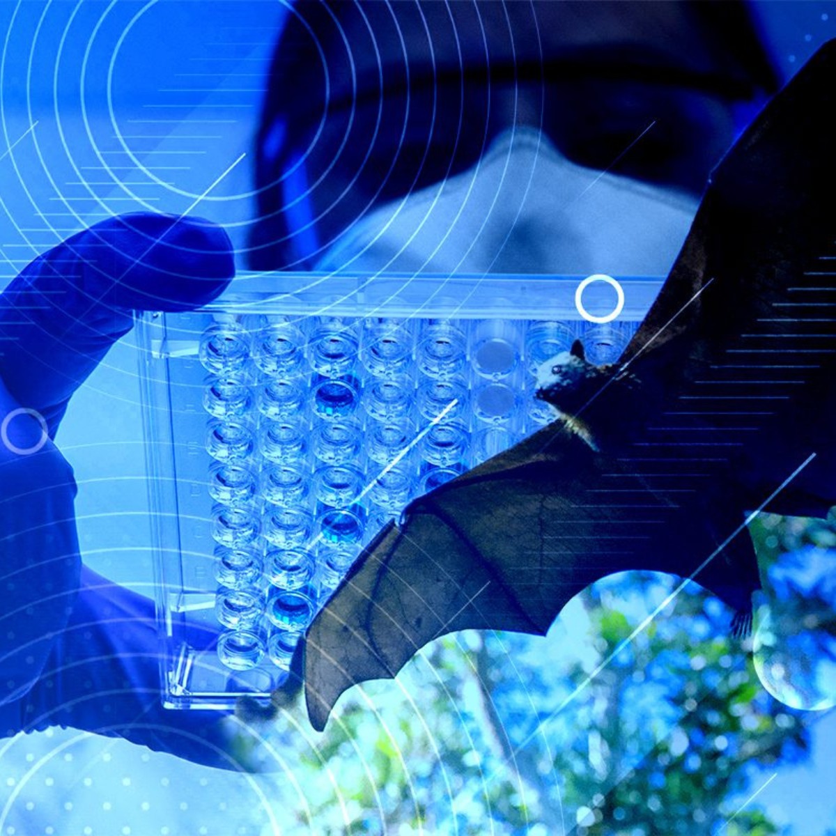 Postdoctoral position — MICRONATIBDeadline: October 31, 2026