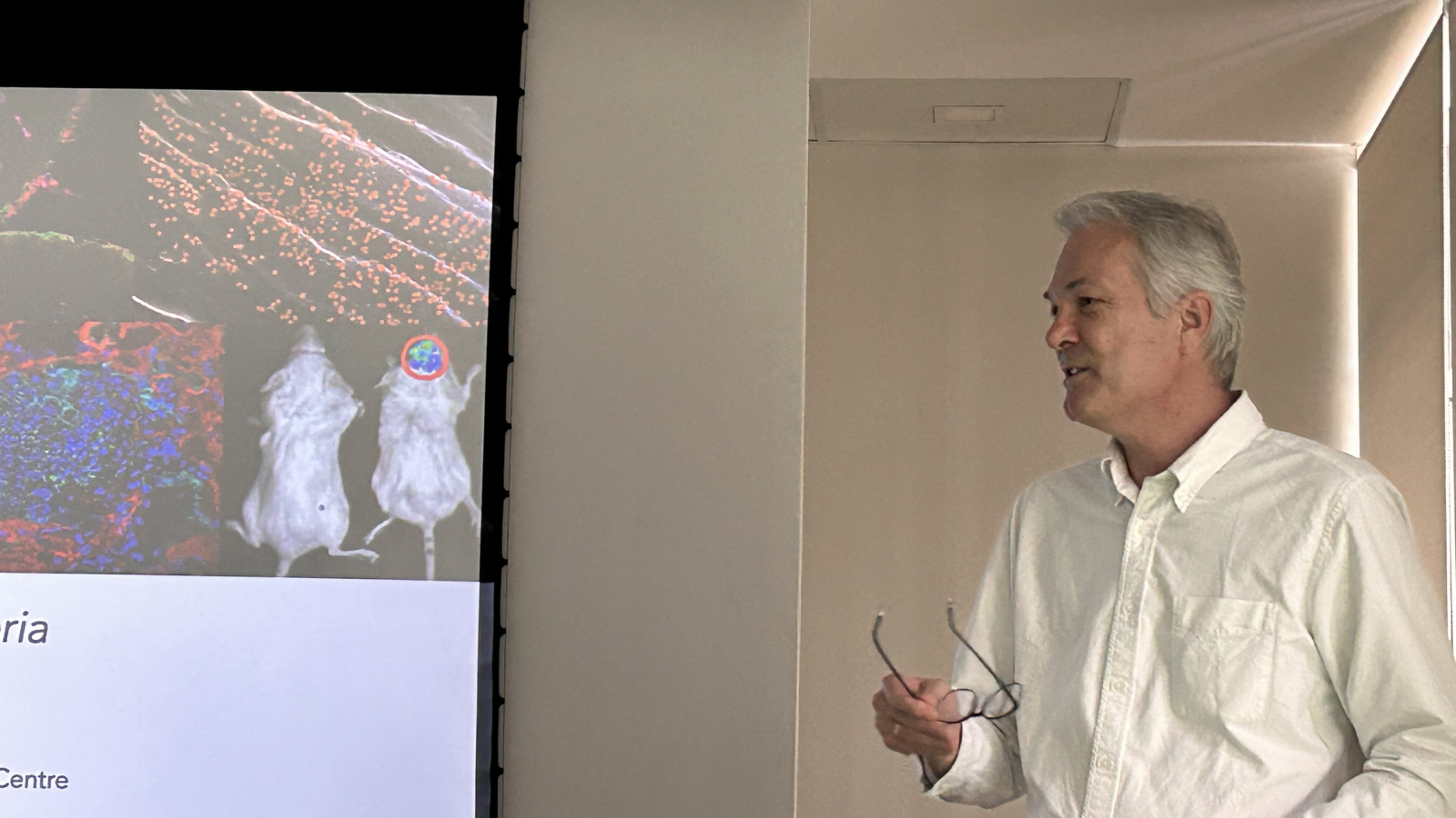 How Listeria invades the body and spreads undetected: Institut Pasteur researcher details mechanisms of systemic infection