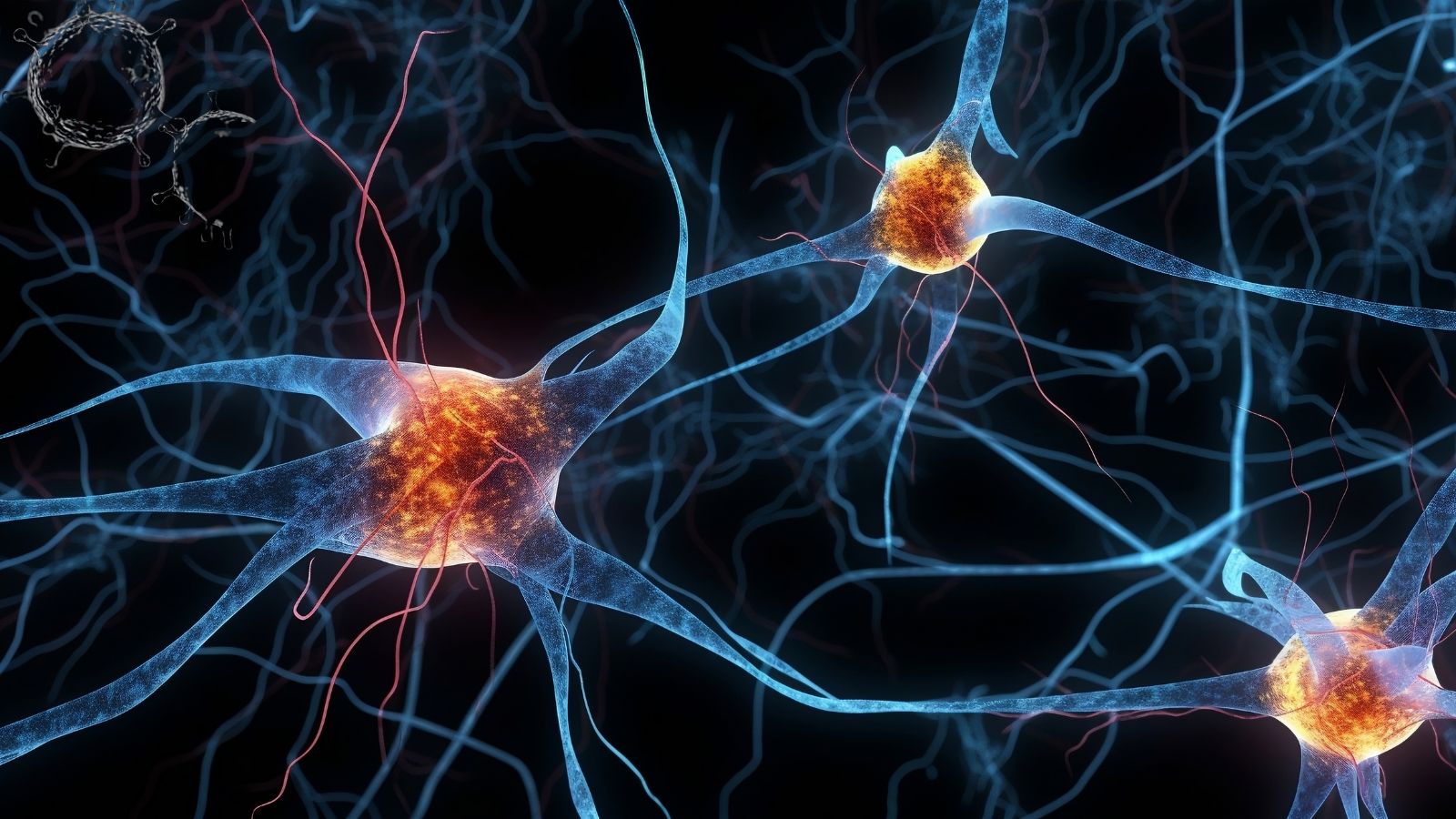 Institut Pasteur de São Paulo promotes seminar on viral neuroinfection and new therapeutic strategies