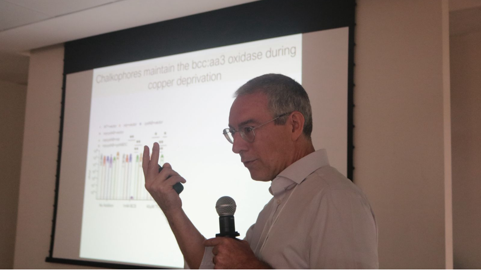 Tuberculose sob três perspectivas: sobrevivência bacteriana, vacinas e proteção dos tecidos