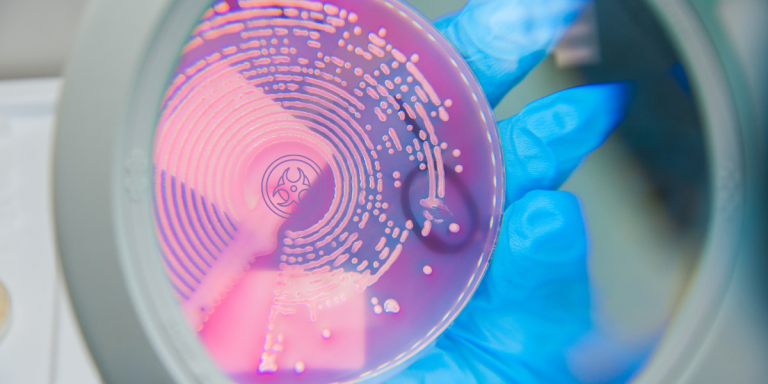 International certification strengthens IPSP expertise in biosafety and biorisk management