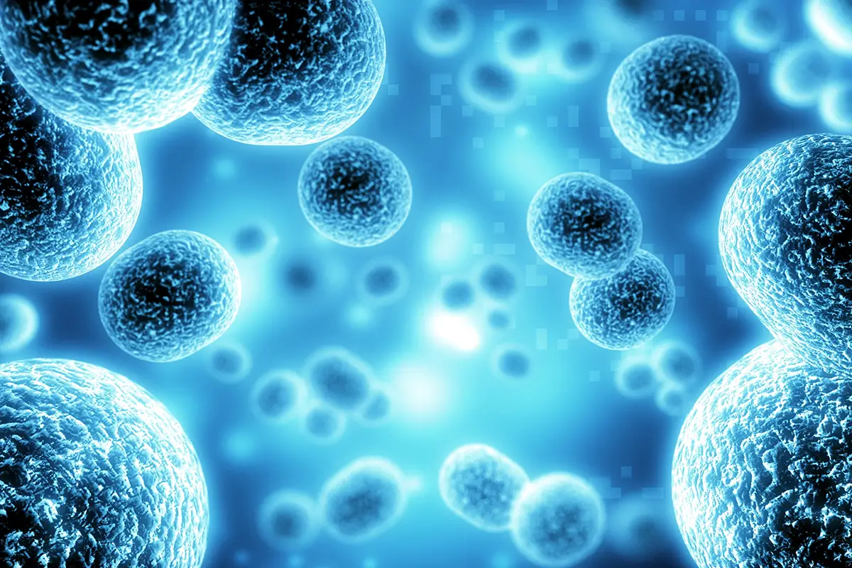 Virologia Clínica e Molecular​ – Equipe